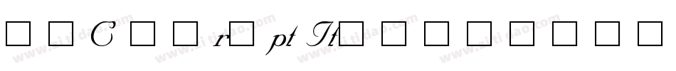 SNC Script Italic字体转换